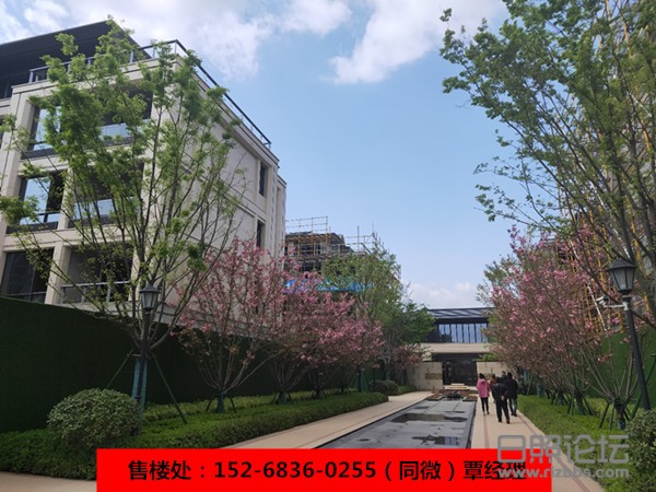 微信图片_20200429145255_副本.jpg