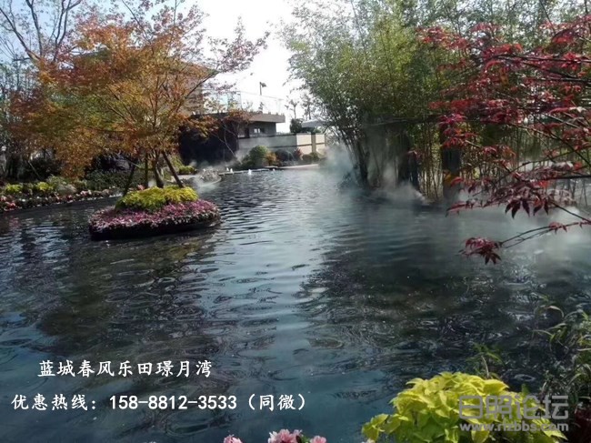微信图片_20200519140757_副本.jpg