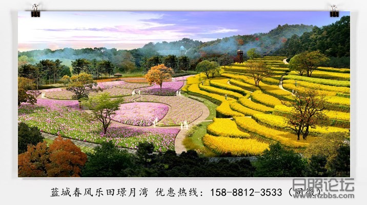 微信图片_20200519140848_副本.jpg