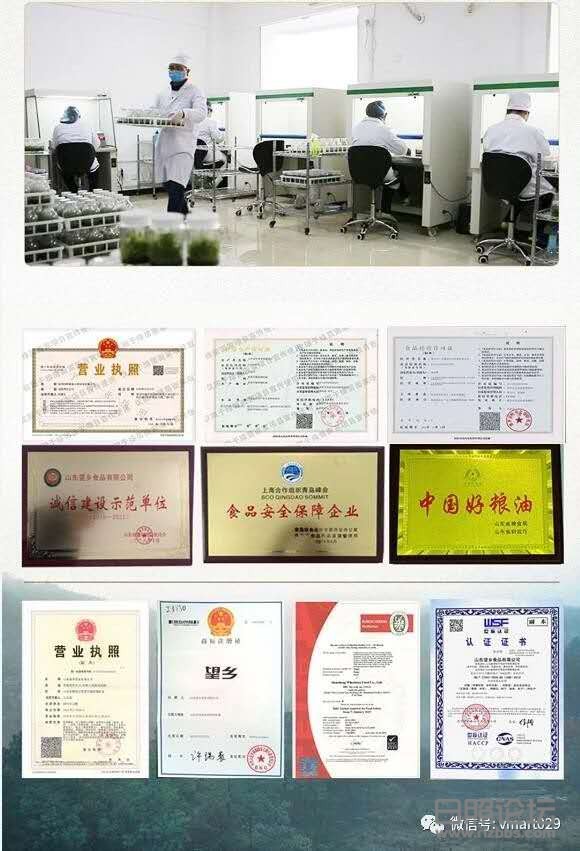 资质证书.jpg