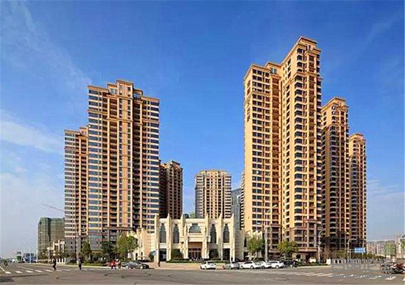 9065441.jpg