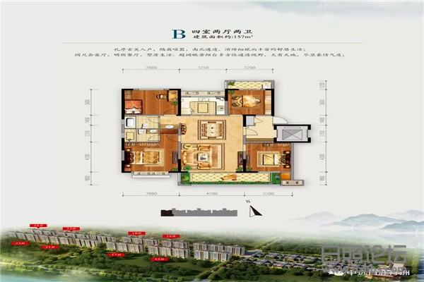 微信图片_20200728152906.jpg