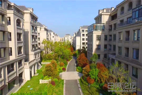 微信图片_20200528092958 - 副本.jpg