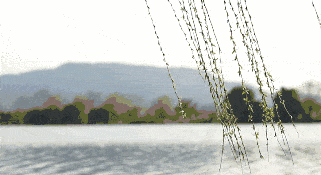 ecebf103738da977e590db48a751f8198718e396.gif