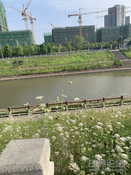 微信图片_20200627115148_副本.jpg