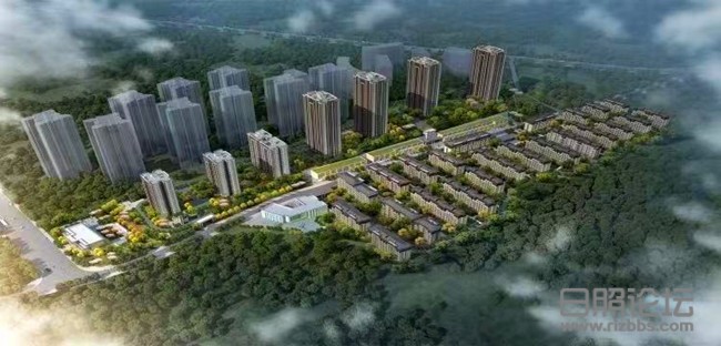 微信图片_20201124094718_副本.jpg