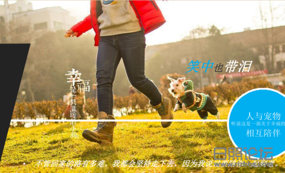狗果定理3.jpg
